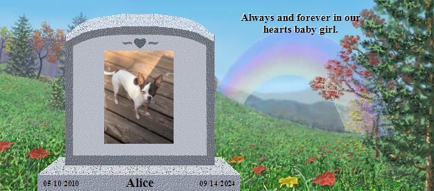 Alice's Rainbow Bridge Pet Loss Memorial Residency Image