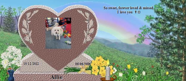 Allie's Rainbow Bridge Pet Loss Memorial Residency Image