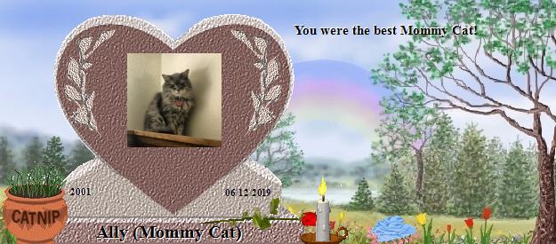 Ally (Mommy Cat)'s Rainbow Bridge Pet Loss Memorial Residency Image