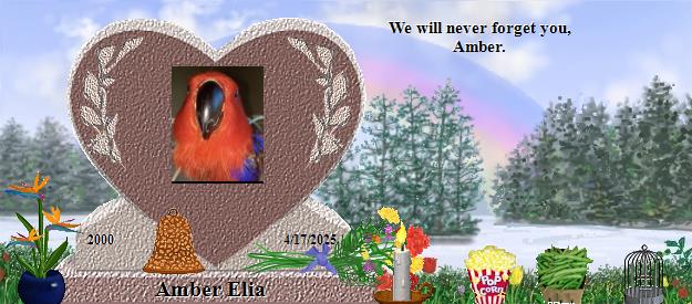 Amber Elia's Rainbow Bridge Pet Loss Memorial Residency Image