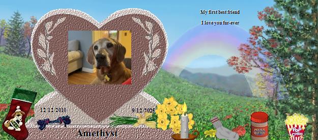 Amethyst's Rainbow Bridge Pet Loss Memorial Residency Image