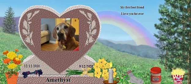 Amethyst's Rainbow Bridge Pet Loss Memorial Residency Image
