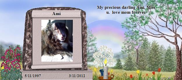 Ami's Rainbow Bridge Pet Loss Memorial Residency Image
