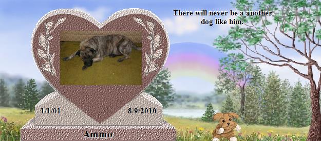 Ammo's Rainbow Bridge Pet Loss Memorial Residency Image