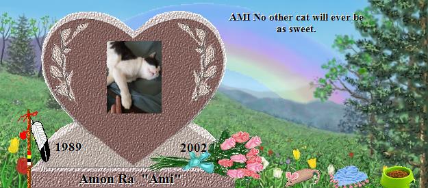 Amon Ra  "Ami"'s Rainbow Bridge Pet Loss Memorial Residency Image