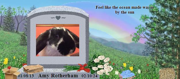 Amy Rotherham's Rainbow Bridge Pet Loss Memorial Residency Image