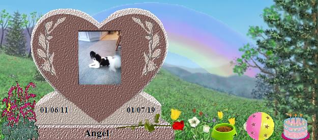 Angel's Rainbow Bridge Pet Loss Memorial Residency Image