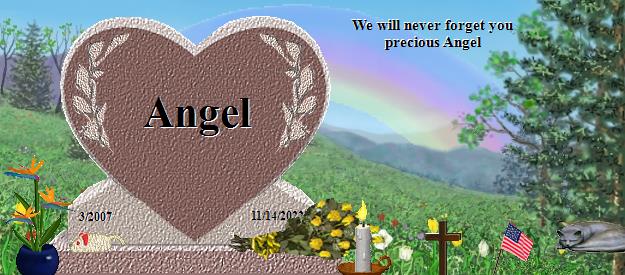 Angel's Rainbow Bridge Pet Loss Memorial Residency Image