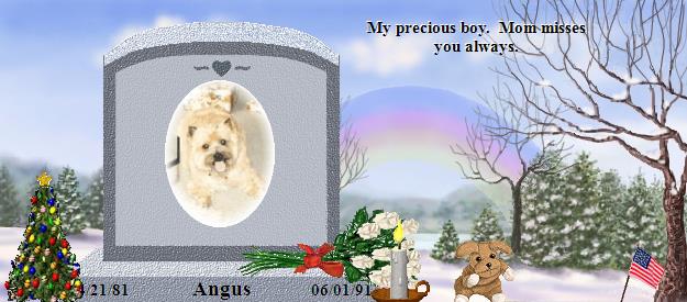 Angus's Rainbow Bridge Pet Loss Memorial Residency Image