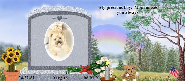 Angus's Rainbow Bridge Pet Loss Memorial Residency Image