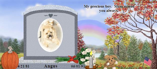 Angus's Rainbow Bridge Pet Loss Memorial Residency Image