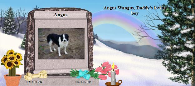 Angus's Rainbow Bridge Pet Loss Memorial Residency Image