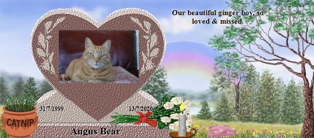 Angus Bear's Rainbow Bridge Pet Loss Memorial Residency Image