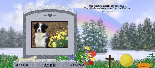 Annie's Rainbow Bridge Pet Loss Memorial Residency Image