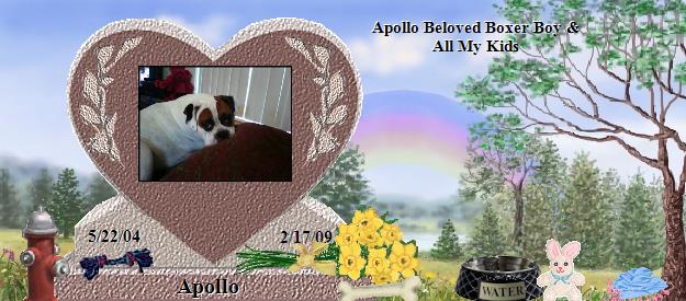 Apollo's Rainbow Bridge Pet Loss Memorial Residency Image