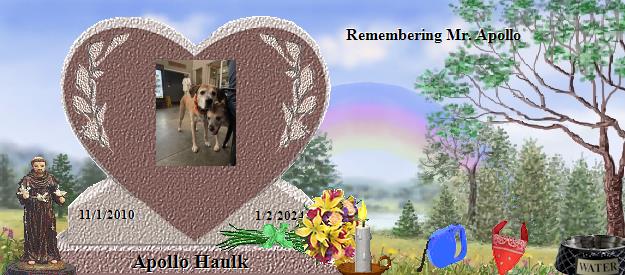 Apollo Haulk's Rainbow Bridge Pet Loss Memorial Residency Image
