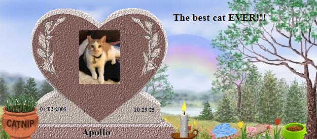 Apollo's Rainbow Bridge Pet Loss Memorial Residency Image