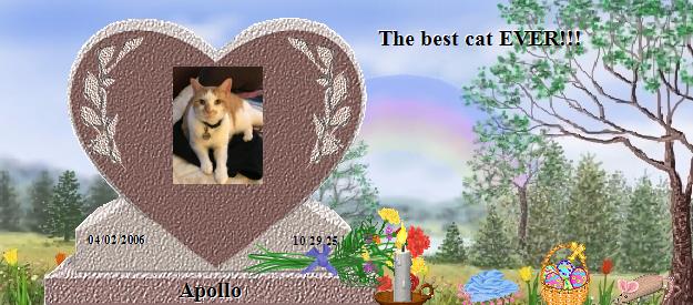 Apollo's Rainbow Bridge Pet Loss Memorial Residency Image