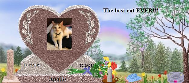 Apollo's Rainbow Bridge Pet Loss Memorial Residency Image