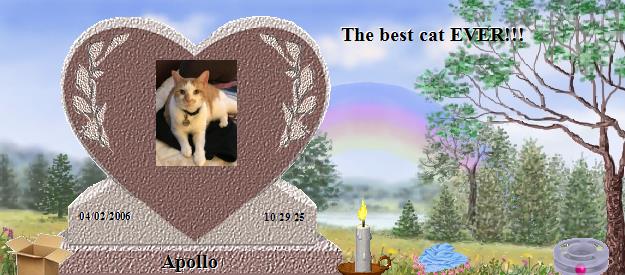 Apollo's Rainbow Bridge Pet Loss Memorial Residency Image