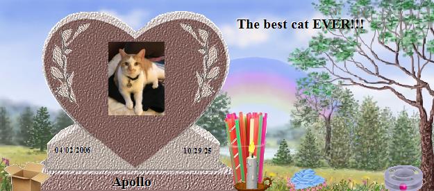 Apollo's Rainbow Bridge Pet Loss Memorial Residency Image
