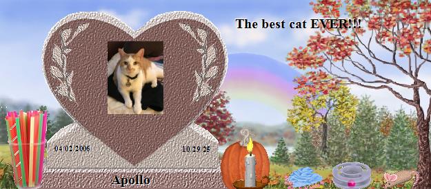Apollo's Rainbow Bridge Pet Loss Memorial Residency Image