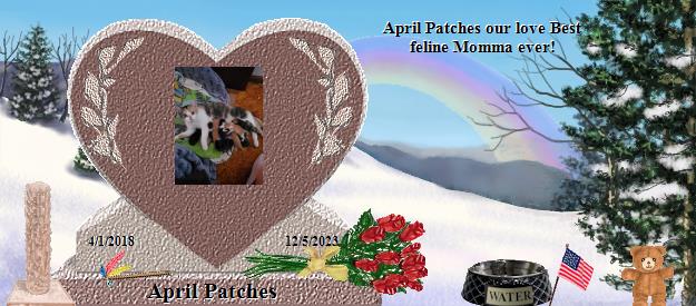 April Patches's Rainbow Bridge Pet Loss Memorial Residency Image