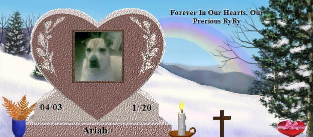 Ariah's Rainbow Bridge Pet Loss Memorial Residency Image