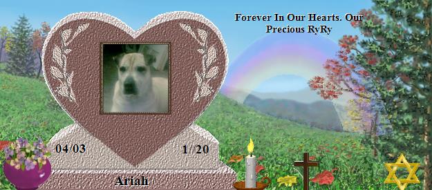 Ariah's Rainbow Bridge Pet Loss Memorial Residency Image