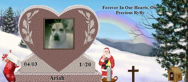 Ariah's Rainbow Bridge Pet Loss Memorial Residency Image