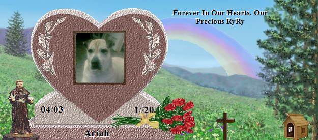 Ariah's Rainbow Bridge Pet Loss Memorial Residency Image