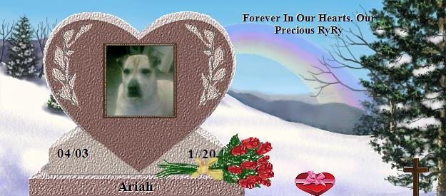 Ariah's Rainbow Bridge Pet Loss Memorial Residency Image