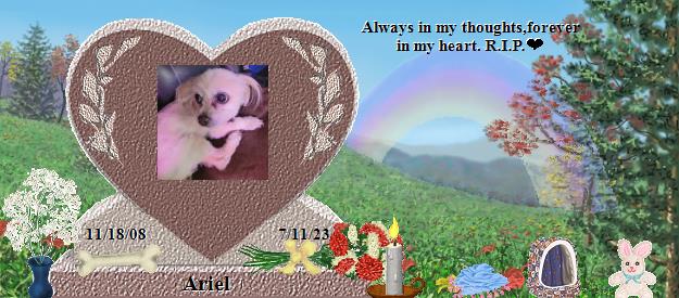 Ariel's Rainbow Bridge Pet Loss Memorial Residency Image