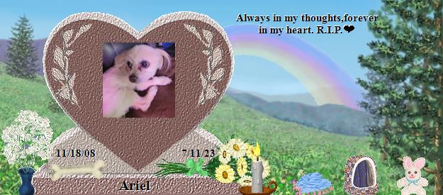Ariel's Rainbow Bridge Pet Loss Memorial Residency Image
