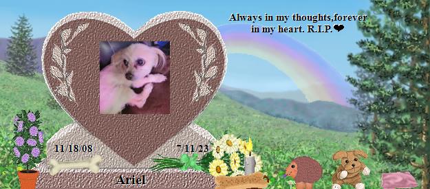 Ariel's Rainbow Bridge Pet Loss Memorial Residency Image