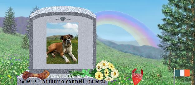 Arthur o connell's Rainbow Bridge Pet Loss Memorial Residency Image