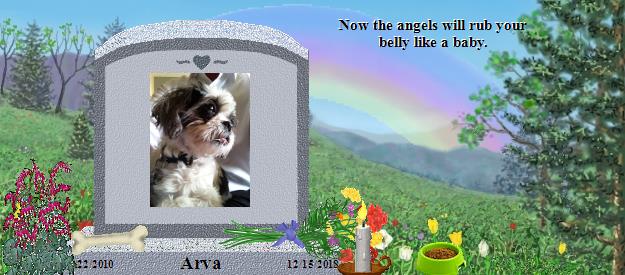 Arva's Rainbow Bridge Pet Loss Memorial Residency Image