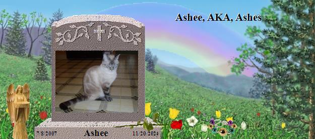 Ashee's Rainbow Bridge Pet Loss Memorial Residency Image