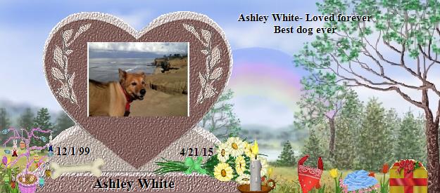 Ashley White's Rainbow Bridge Pet Loss Memorial Residency Image