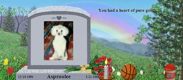 Asproolee's Rainbow Bridge Pet Loss Memorial Residency Image
