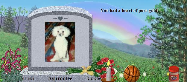 Asproolee's Rainbow Bridge Pet Loss Memorial Residency Image