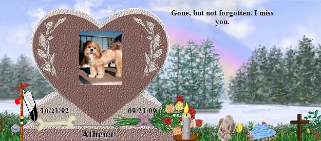 Athena's Rainbow Bridge Pet Loss Memorial Residency Image