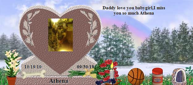 Athena's Rainbow Bridge Pet Loss Memorial Residency Image