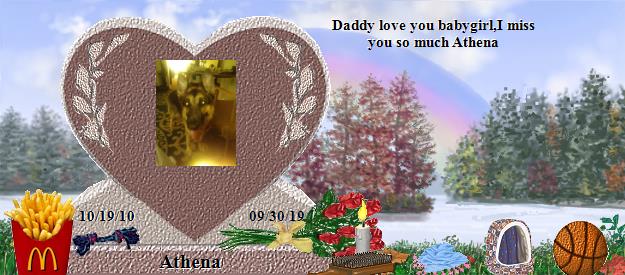 Athena's Rainbow Bridge Pet Loss Memorial Residency Image