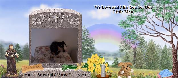 Auswald ("Ausie")'s Rainbow Bridge Pet Loss Memorial Residency Image