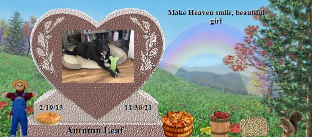 Autumn Leaf's Rainbow Bridge Pet Loss Memorial Residency Image