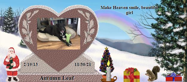 Autumn Leaf's Rainbow Bridge Pet Loss Memorial Residency Image