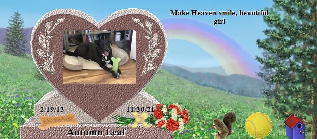 Autumn Leaf's Rainbow Bridge Pet Loss Memorial Residency Image