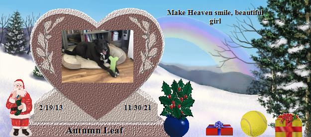 Autumn Leaf's Rainbow Bridge Pet Loss Memorial Residency Image