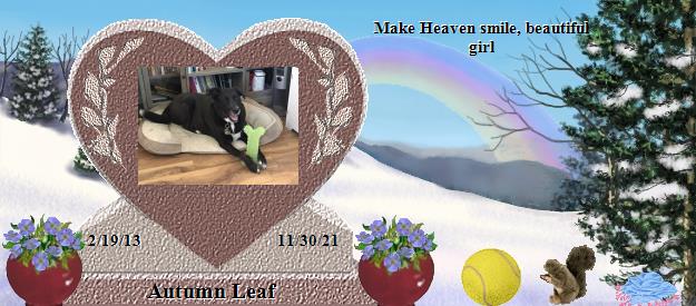 Autumn Leaf's Rainbow Bridge Pet Loss Memorial Residency Image